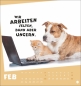 Preview: Mach mal Pause Postkartenkalender Katzen 2026