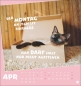 Preview: Mach mal Pause Postkartenkalender Katzen 2026