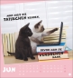 Preview: Mach mal Pause Postkartenkalender Katzen 2026