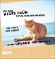 Preview: Mach mal Pause Postkartenkalender Katzen 2026