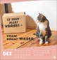 Preview: Mach mal Pause Postkartenkalender Katzen 2026