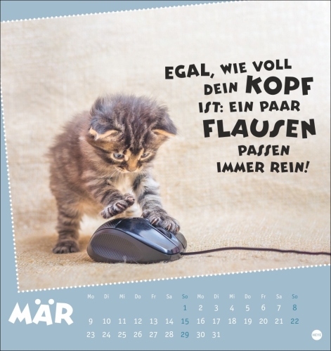 Mach mal Pause Postkartenkalender Katzen 2026