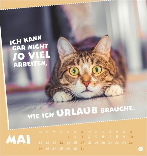 Mach mal Pause Postkartenkalender Katzen 2026
