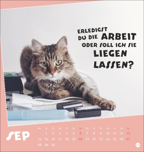 Mach mal Pause Postkartenkalender Katzen 2026