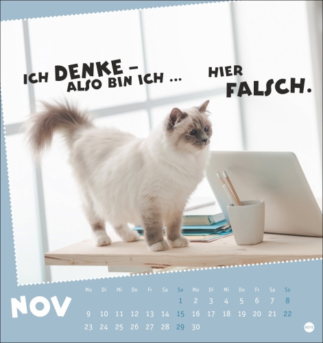 Mach mal Pause Postkartenkalender Katzen 2026