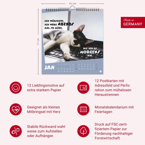 Mach mal Pause Postkartenkalender Katzen 2026