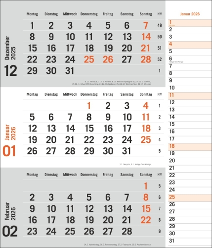 times&more 3-Monatsplaner, orange 2026