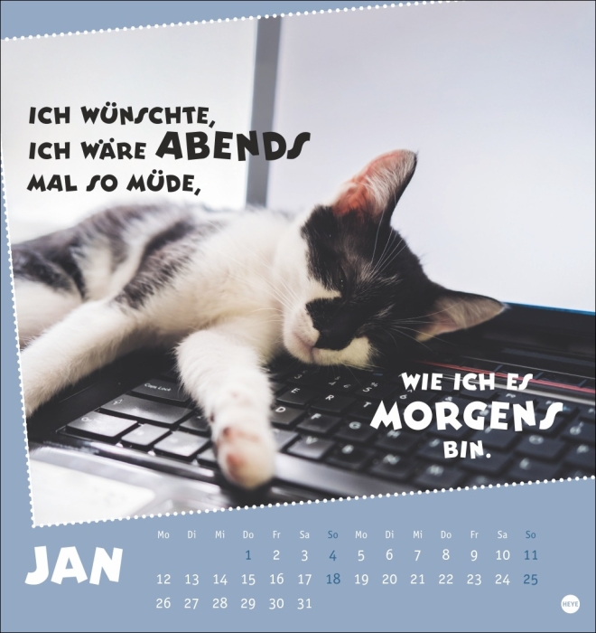 Mach mal Pause Postkartenkalender Katzen 2026