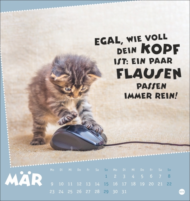 Mach mal Pause Postkartenkalender Katzen 2026