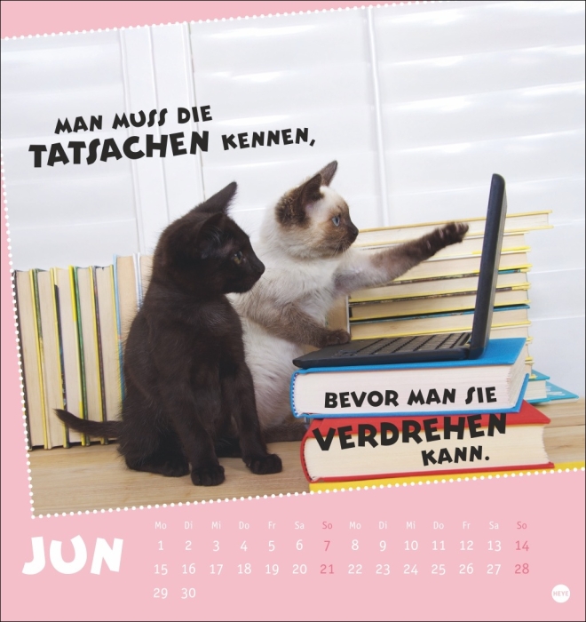 Mach mal Pause Postkartenkalender Katzen 2026