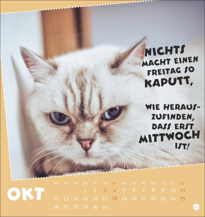Mach mal Pause Postkartenkalender Katzen 2026