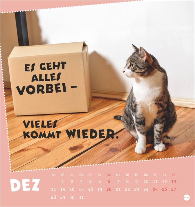 Mach mal Pause Postkartenkalender Katzen 2026