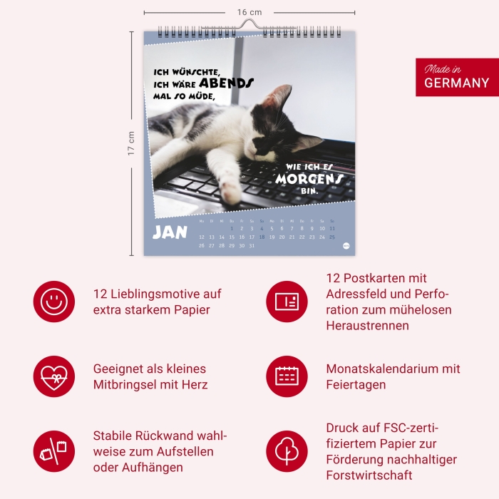 Mach mal Pause Postkartenkalender Katzen 2026