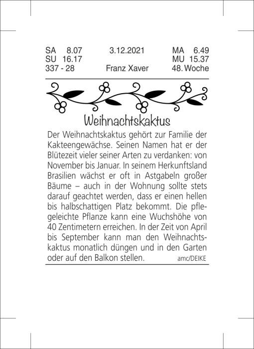 Tagesabreißkalender groß 2026